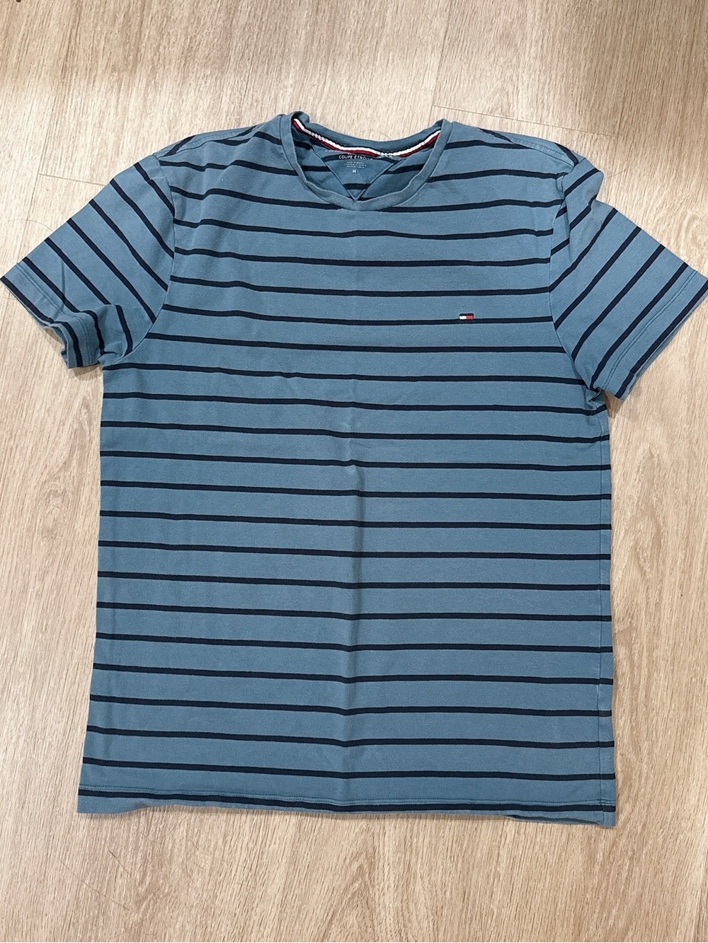 Tommy Hilfiger Men’s Blue Striped Crew Neck T-Shirt